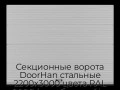 sekczionnyie-vorota-doorhan-stalnyie-2200x3000-czveta-ral-9006-serebristyij-s-dizajnom-«volna»-bez-avtomatiki
