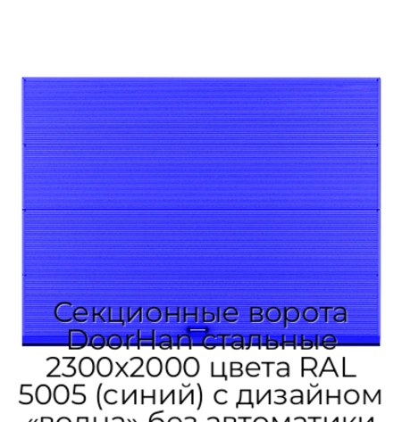 sekczionnyie-vorota-doorhan-stalnyie-2300x2000-czveta-ral-5005-sinij-s-dizajnom-«volna»-bez-avtomatiki