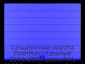 sekczionnyie-vorota-doorhan-stalnyie-2300x2000-czveta-ral-5005-sinij-s-dizajnom-«shirokaya-czentralnaya-polosa»-s-avtomatikoj