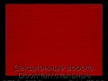 sekczionnyie-vorota-doorhan-stalnyie-2300x2100-czveta-ral-3000-krasnyij-s-dizajnom-«doska»-bez-avtomatiki