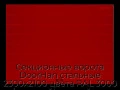 sekczionnyie-vorota-doorhan-stalnyie-2300x2100-czveta-ral-3000-krasnyij-s-dizajnom-«shirokaya-czentralnaya-polosa»-s-avtomatikoj