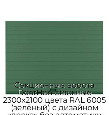 sekczionnyie-vorota-doorhan-stalnyie-2300x2100-czveta-ral-6005-zelyonyij-s-dizajnom-«doska»-bez-avtomatiki